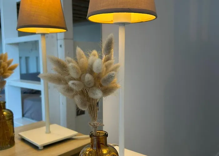 T3 Vue Sur Le Courant, Sud * Mimizan-Plage